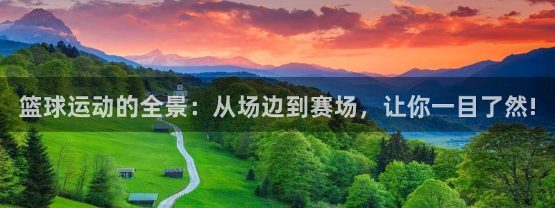 篮球运动的全景：从场边到赛场，让你一目了然!