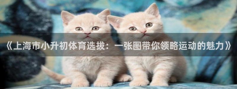 《上海市小升初体育选拔：一张图带你领略运动的魅力》